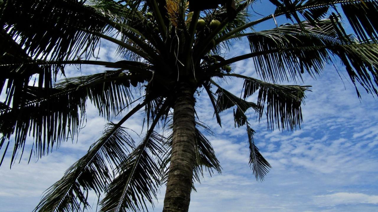 Dikaloha Surfschool And Stay Airsatang Екстериор снимка