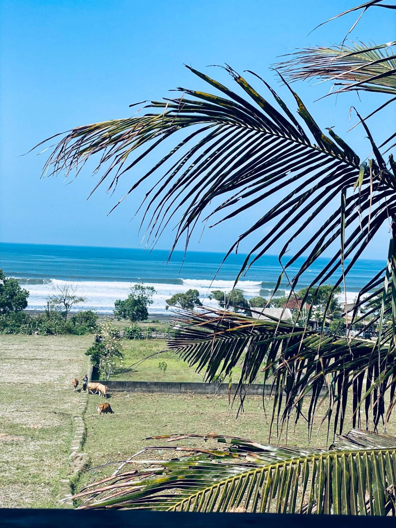 Dikaloha Surfschool And Stay Airsatang Екстериор снимка